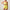 Woman wearing a bright yellow sports bra and shorts on a plain background